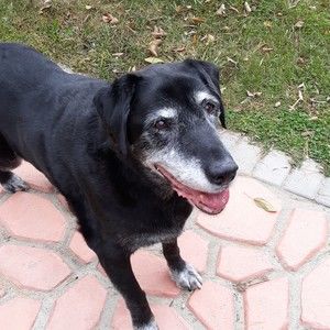 Meet your Posher, April